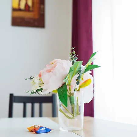 Zentral, Ruhig, 4personen, Balkon, Waschmaschine Apartment Chemnitz